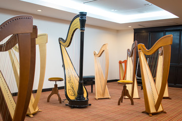 Pedal and lever harps