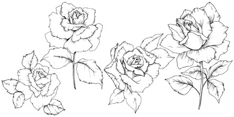 Rose flower in a vector style isolated. Full name of the plant: rose. Vector flower for background, texture, wrapper pattern, frame or border.