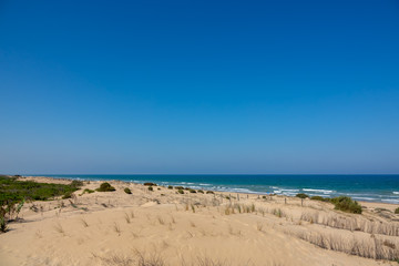 Fototapeta na wymiar Long sandy beach, ocean and blue sky