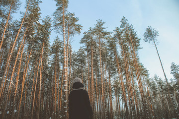 The pine forest and the girl