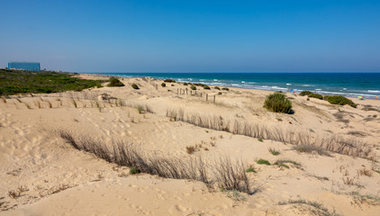 Long sandy beach called Playa El Moncayo. Green bushes, blue sea and sky.
