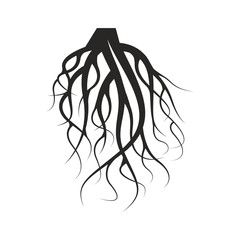 Vector Illustration : Roots design