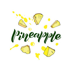 handwritten lettering of pineapple and pineapple slices. Isolated text ananas for label, menu, icon with decorative elements. line sketched hand painted fruits on white background.