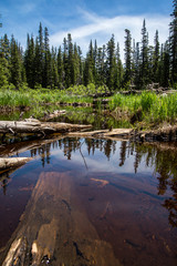 Obraz premium Alpine pond in the Rocky Mountains