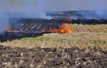 Plow the tractor with a strip of field from the fire