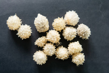 Small worms are caused by dirt and fungus.