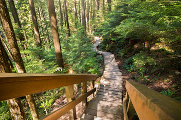 Fototapeta premium Forest walkway near Lynn Canyon in North Vancouver.