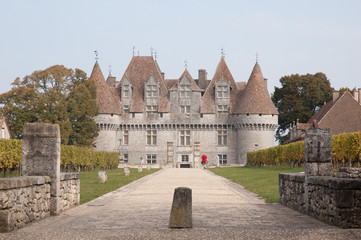 Fototapeta na wymiar Chateau Monbazillac