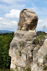 Fototapeta na wymiar sandstone rock near Hruba Skala renaissance castle