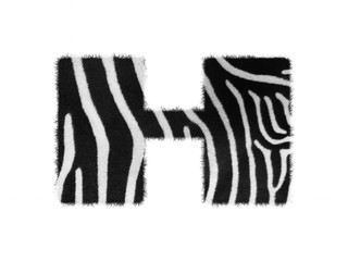 Furry font made of zebra skin texture. Character render isolated on white.