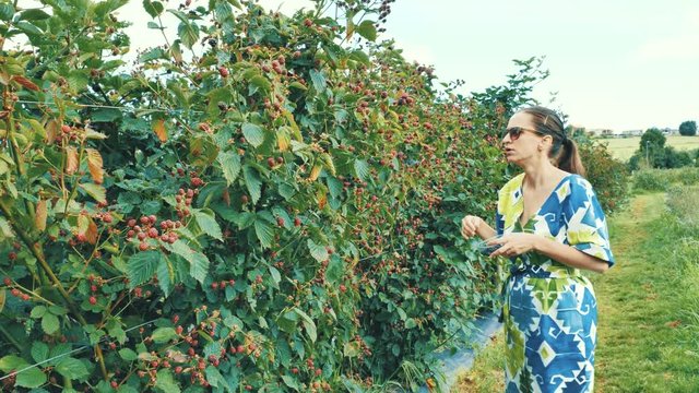 4k young girl collects barries and humorously dances whille collecting berries in jungle farm