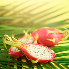 Pitahaya or dragon fruit over tropical green palm leaves on yellow background. Top view with copy...