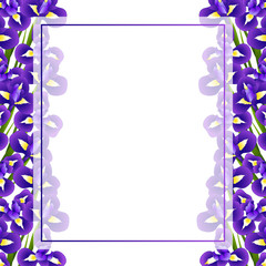 Iris Flower Banner Card Border