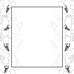 Lily and Iris Flower Outline Banner Card Border