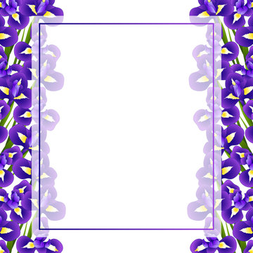Iris Flower Banner Card Border