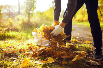 young boy cleans fallen leaves. concept of purity. autumn leaves. purity. Environment. otdoor....