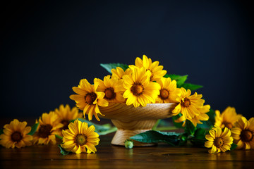 bouquet of yellow big daisies on a black