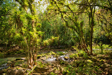 Wildnis im El nicho Nationalpark