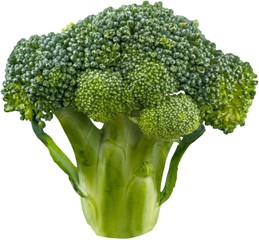 Fresh Broccoli - Isolated