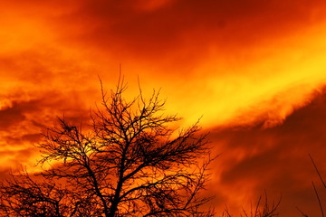 Obraz premium Sunset 