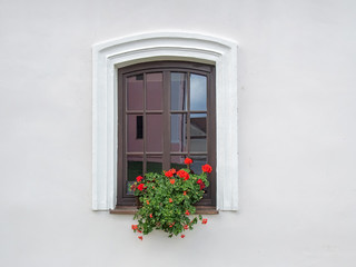 Fototapeta na wymiar Brown wooden window with flowers in plaster white wall