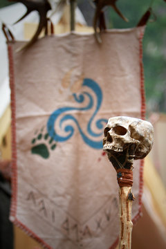 celtic skull and ensign