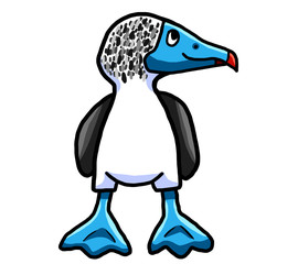 Blue Footed Booby
