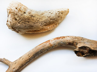 Driftwood over white background, aged old snag 