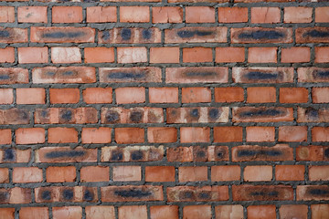 Fototapeta premium Tło ściana z cegieł. Cegły pomarańczowe i czarne