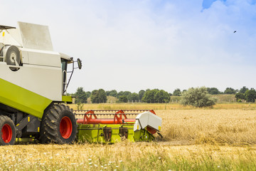 combine working in a field of wheat