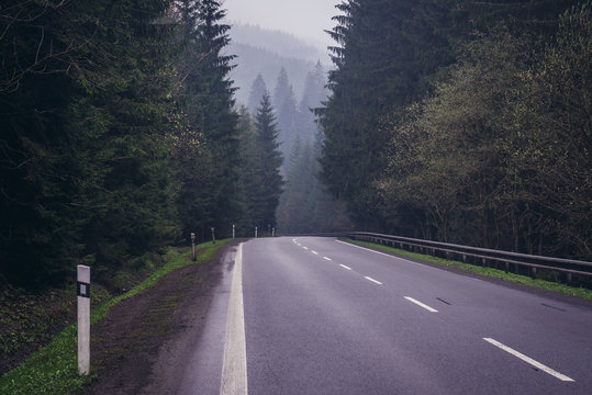 Road among old woods in Moravian-Silesian Beskids mountain range, Czech Republic, view near Stare Hamry village
