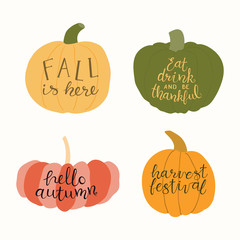 Hand drawn vector illustration of a different pumpkins, with harvest, fall lettering quotes. Isolated objects on white background. Flat style design. Concept for gardening, autumn harvest. © Maria Skrigan