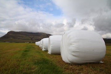 Hey rolls on the field in Iceland