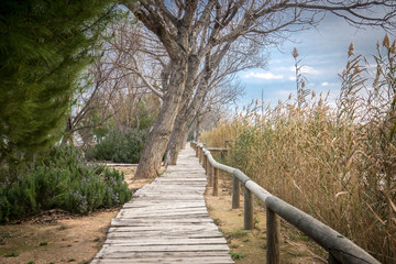 Wooden path at Albufera Valencia Spain walkway