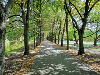 Fototapeta premium rhdr