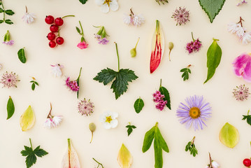 summer flowers and leaves