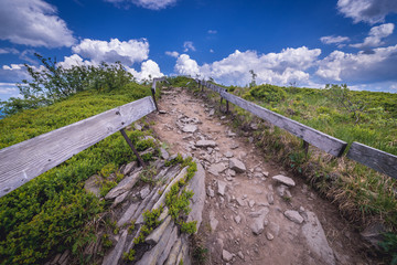 Fototapeta premium Hiking path to Osadzki Wierch mountain in Bieszczady National Park, Subcarpathian Voivodeship of Poland