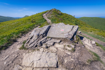 Fototapeta premium Hiking trail on the mount Rozsypaniec in Bieszczady National Park, Subcarpathian Voivodeship of Poland