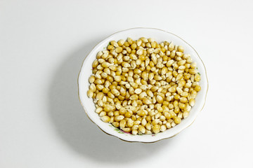 Top shot of multiple corn seeds in the small white cup