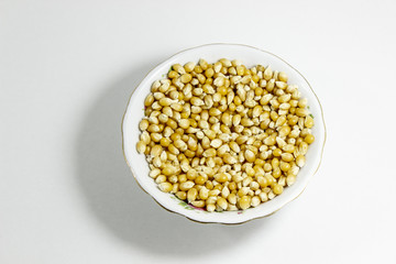 Top shot of multiple corn seeds in the small white cup