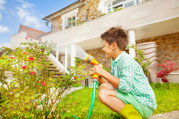 Boy watering rosebushes in the garden at sunny day