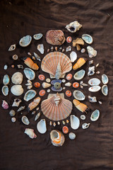 Bunte Muscheln auf Braunem Tuch als Mandala.
