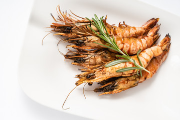 grilled prawns isolated