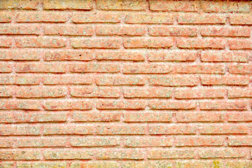 Pink brick wall texture or background