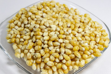 Close-up shoot of multiple corn seeds in the transparent reflective cup
