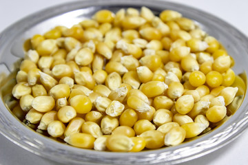 Perspective shoot of multiple corn seeds in the metal reflective cup