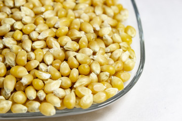 Side shoot of corn seeds in the transparent reflective cup