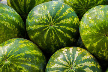 Close up of a pile of beautiful delicious green watermelons on the market bench or counter. Agricultural background concept
