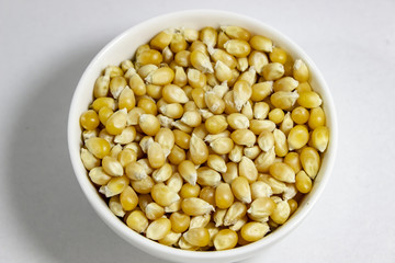 Top shoot of corn seeds in the small white cup