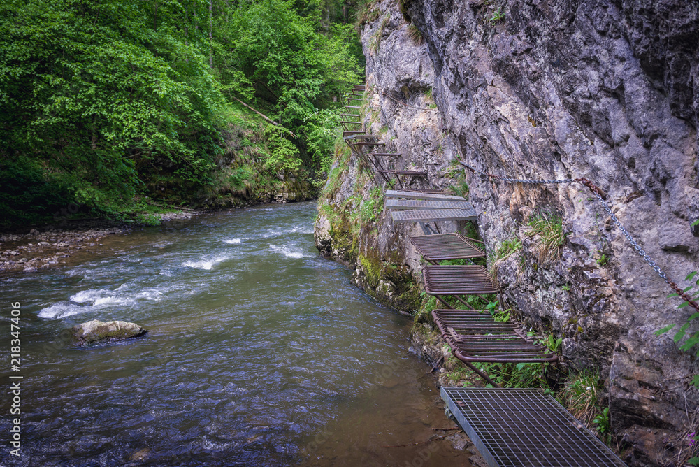 Canvas Prints River Hornad seen from tourist path in park called Slovak Paradise, Slovakia